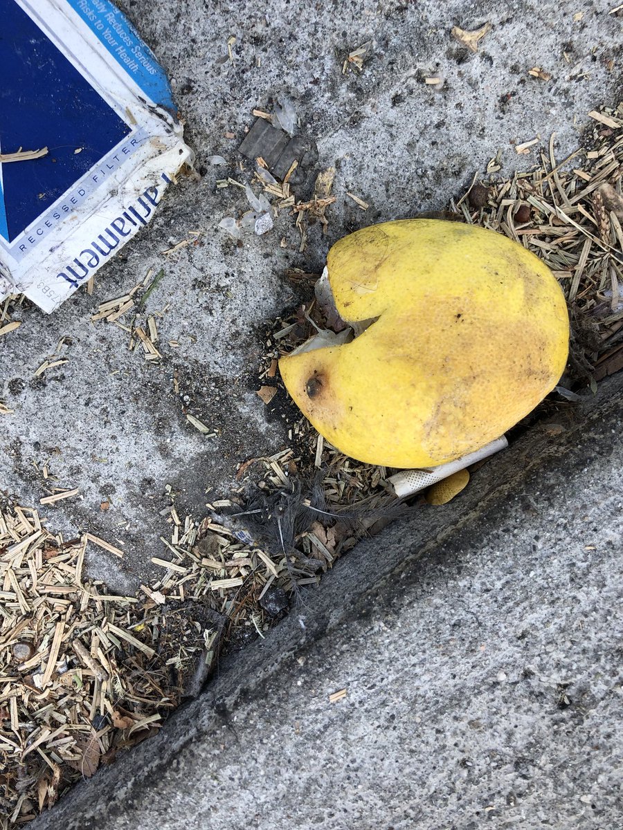 trohman's tweet photo. Paxton “Pac” Pacman (b. May 1980-d. February 2018) was a yellow guy that ate small circles while getting chased by ghosts - unless he ate a big circle, then he’d eat ghosts kinda. He died in a gutter, eating cigs. He leaves behind either his girlfriend or sister? Not sure. https://t.co/nQnlrTD16G
