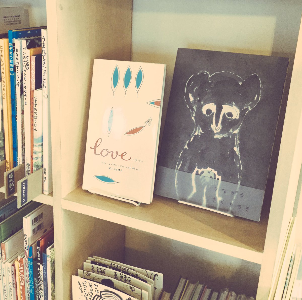 Mary Colin メアリーコリン Twitterissa 今一番愛を感じる絵本2冊 愛と切ないは わりとよく近くにいます Love ジャン ベルト ヴァン二 デザイン イラスト ローウェル A シフ ストーリー 三辺律子 訳 和久井直子 日本語版デザイン 青山出版社