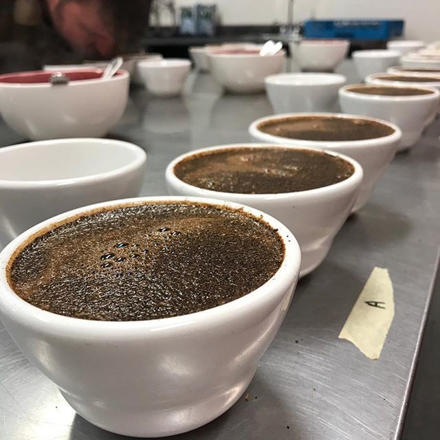 SteamdotLab's tweet image. We cup. All the time. ift.tt/2sgWyIM