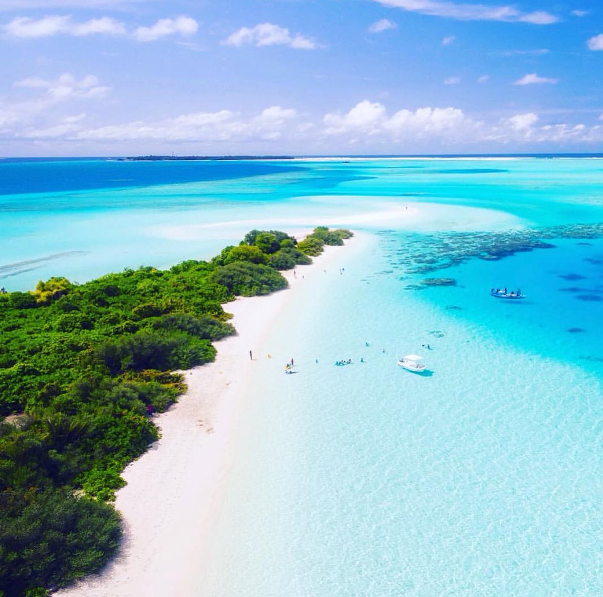 jetawaycharters's tweet image. Plan a romantic tropical getaway this Valentines Day 🌴💚 #JetAway
#JetAwayCharters #valentinesday #highlife #jetlife #flyprivate #luxurylifestyle #highend #lifestyle #photooftheday #viewoftheday #airplane #jets #privatejet #caribbean #turksandcaicos #grandcayman #maldives