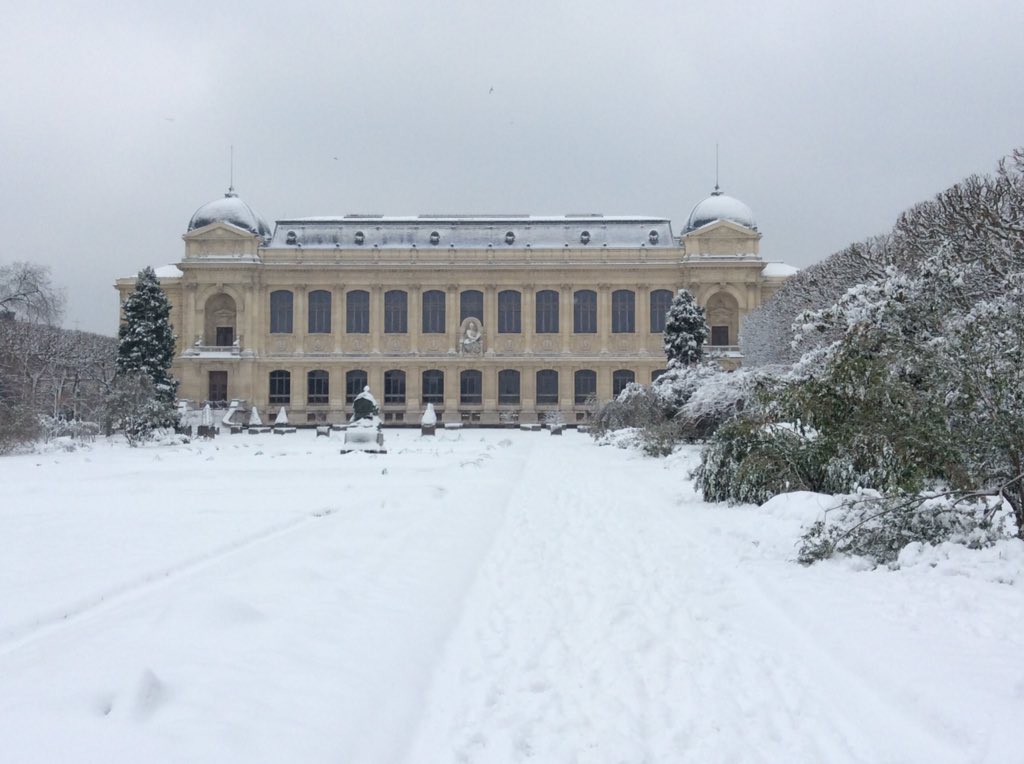 Raphaël Musseau tweet media