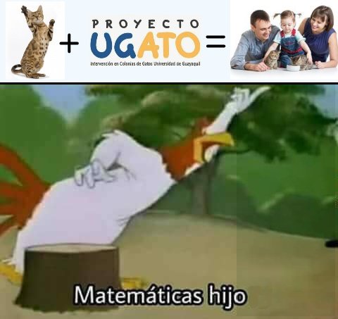 gatitosUG's tweet photo. Mañana estaran nuestros felinos en adopción, desparitados y con sus vacunas, tanto de rabia como triple felina.
Te esperamos en la Plazoleta de la @UdeGuayaquil desde las 14:00pm hasta 18:00pm
Necesitan un hogar. #UGatos https://t.co/Wq2pN4Apgm