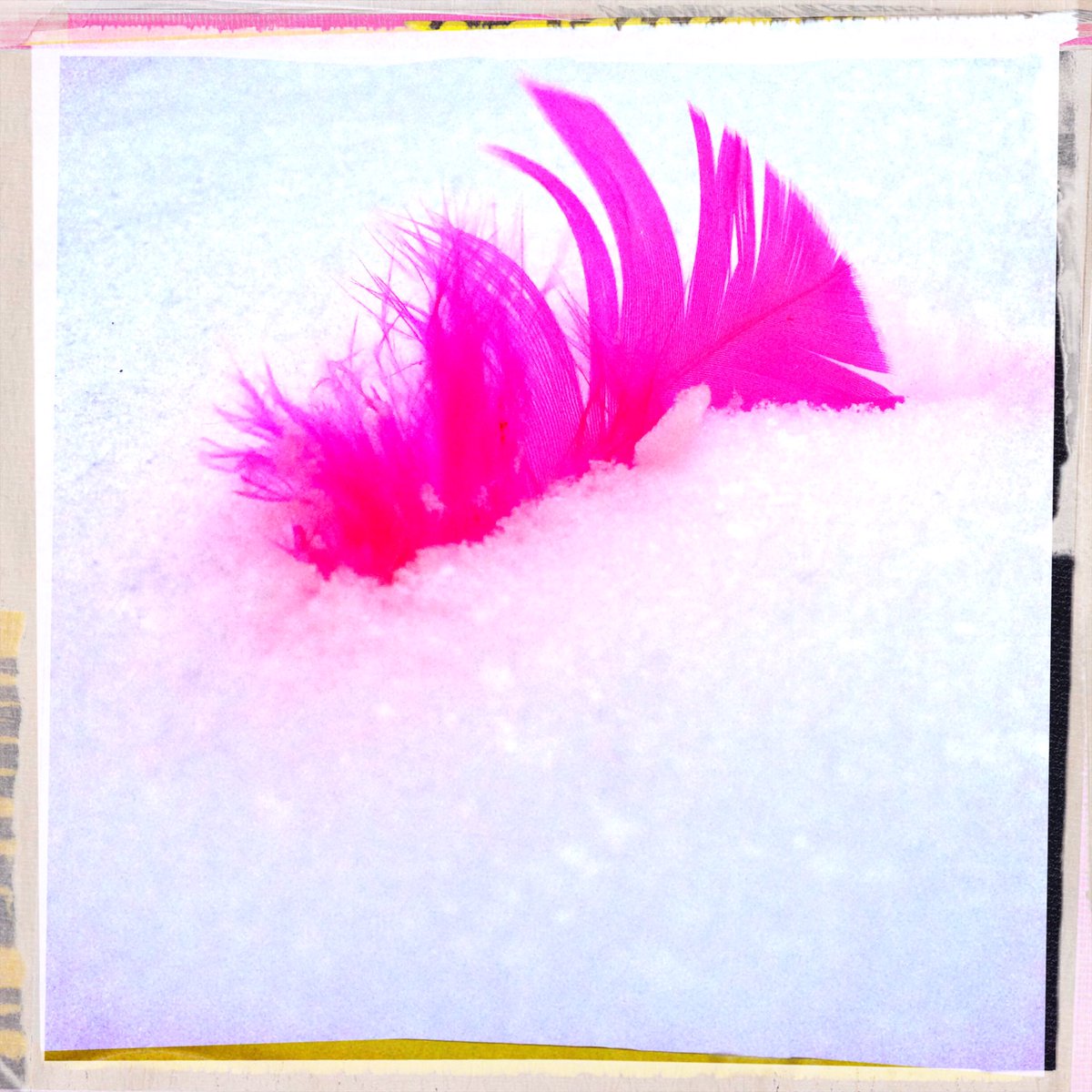 u can trust me 2 c some pink even when it's all white !
#ilovepink #inthepink #letitsnow #pinkisnotdead #serialpinklover #snowinparis #thinkpink