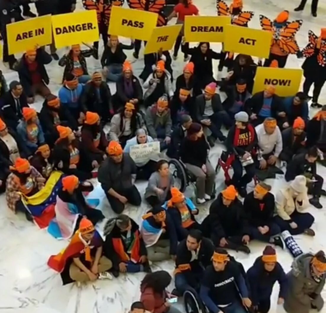 This is what 700+ immigrant youth and allies taking over Russell Senate Office Building and calling for a #CleanDreamAct in Washington, DC looks like. (📸United We Dream)
