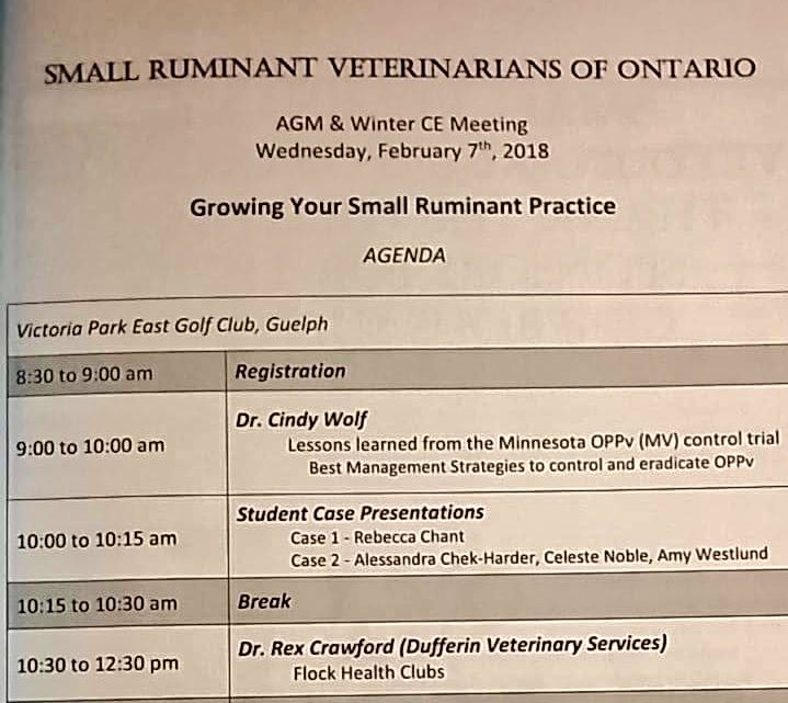 AmyW_DVMstudent's tweet photo. 8:30 am - Physiology midterm; 10:15 am - Presentation for SRVO Student Case competition; 11:30 am - suture practice. All before noon! Average day in the life of a #StudentVeterinarian ☺️ #VetSchoolLife #Phase1 #VetMed @OntVetCollege https://t.co/sQzHUcOZDp