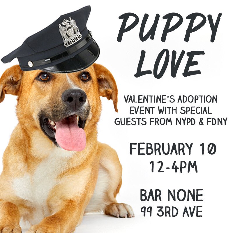 BarNoneNYC's tweet image. You’ll never, ever be able to find a better or furrier valentine than this saturday at Bar None. Come down for our valentine’s adoption party where you can bring home a new best friend! Members of the #NYPD and #FDNY aren’t too shabby either!
#ValentinesAdoptionParty #SocialTees