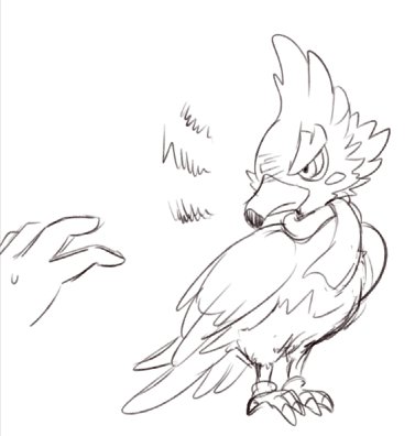 凶鸟 