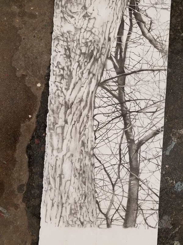 cathernruaneart's tweet photo. A little glimpse at the process!
https://t.co/fdgxH66gj1
#drawing #contemporaryart #process_of_creativity #artinLA #LosAngelesArt #LosAngelesArtist #nature #naturedrawing #artandnature https://t.co/Nl6dhWUKbg