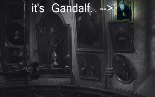 Retrato de Gandalf el Gris en Harry Potter y la cámara secreta - Cine de Escritor