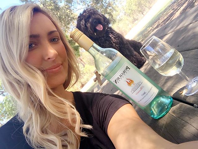 pokolbinestate's tweet photo. I mean who doesn’t love a sem Sav on a hot day?? ..especially our 2017 Phoenix!
I know chia does 🤫 🤗🍇🍷 https://t.co/TWGDRz4BZs