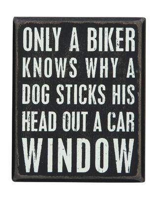 opnrdbkrs's tweet photo. Just me and my dog... 
#bikerlife #motorcycle #biker #openroadbikers #bikeride #harleydavidson #yamaha #kawasaki #bobber #chopper #bagger https://t.co/EEF8xO3Aut
