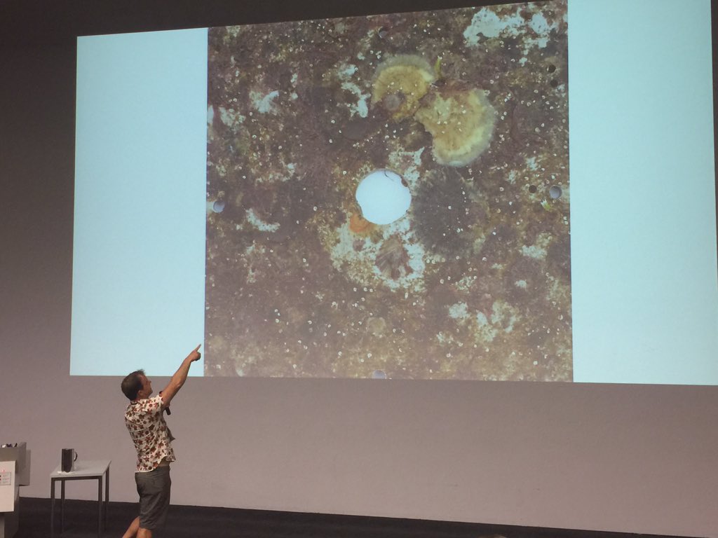 CitSciOZ's tweet photo. How can you get people excited about shellfish reefs? Tell history... 70+ oyster bars in Melbourne back in the day! Ask can you catch baby oysters? Get community & dive stores involved in monitoring of settlement plates. #reefwatch @vnpatweets #CitSciOz18 #EngagingCitizens https://t.co/RhZ8R4kxY0