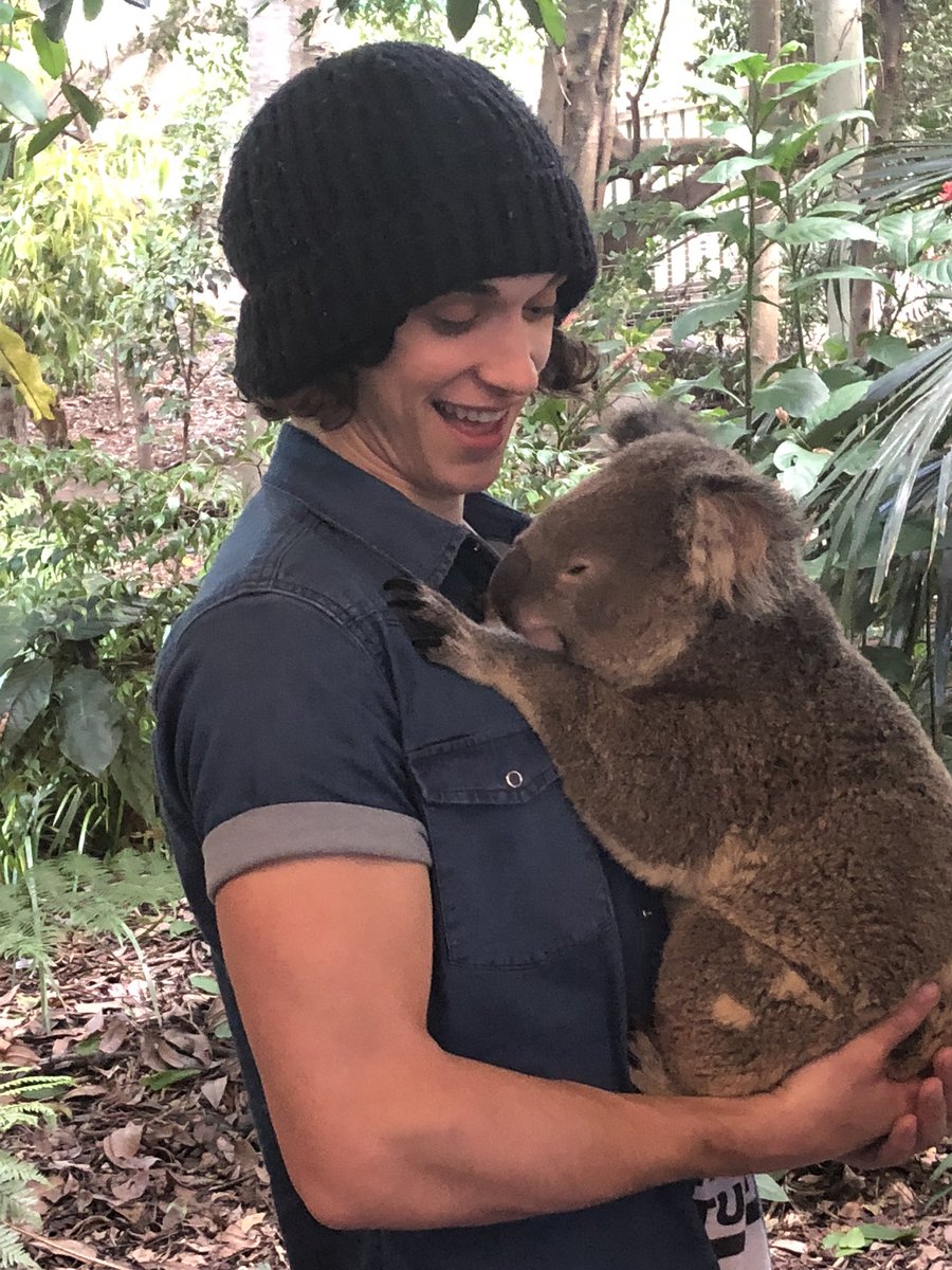 waterparks's tweet photo. OTTO KOALA PICTURES https://t.co/rORHJWgBT8