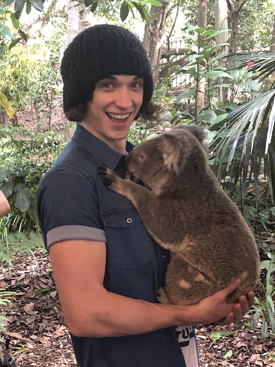 waterparks's tweet photo. OTTO KOALA PICTURES https://t.co/rORHJWgBT8