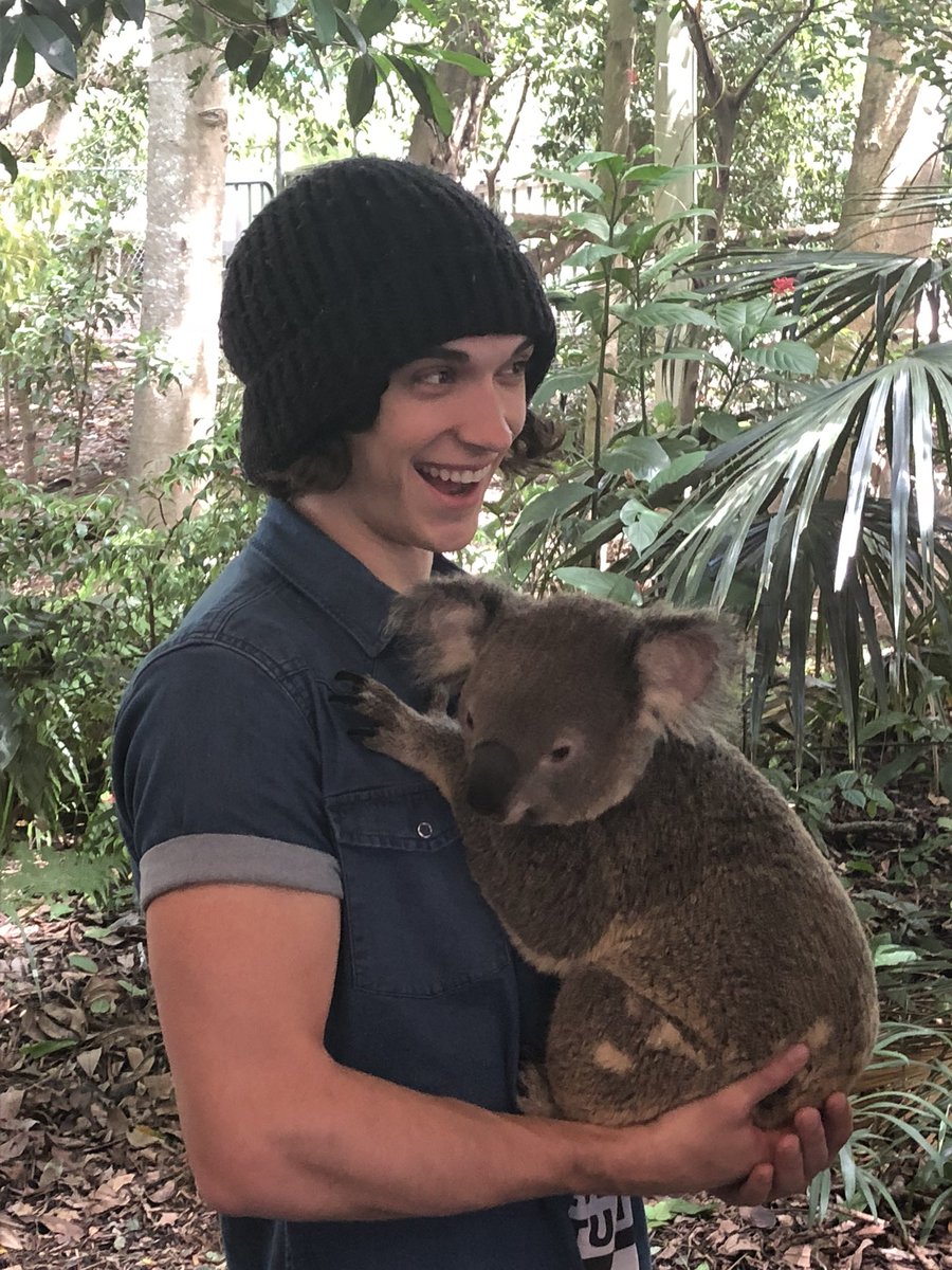waterparks's tweet photo. OTTO KOALA PICTURES https://t.co/rORHJWgBT8