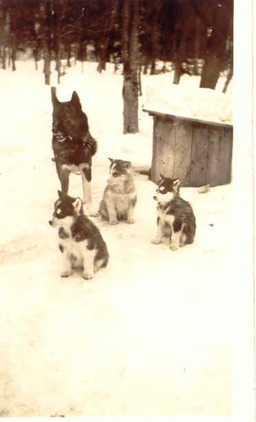 How do we feel about our #Members? #PuppyLove sums it up pretty well.
Check out our website: goo.gl/HzNusV