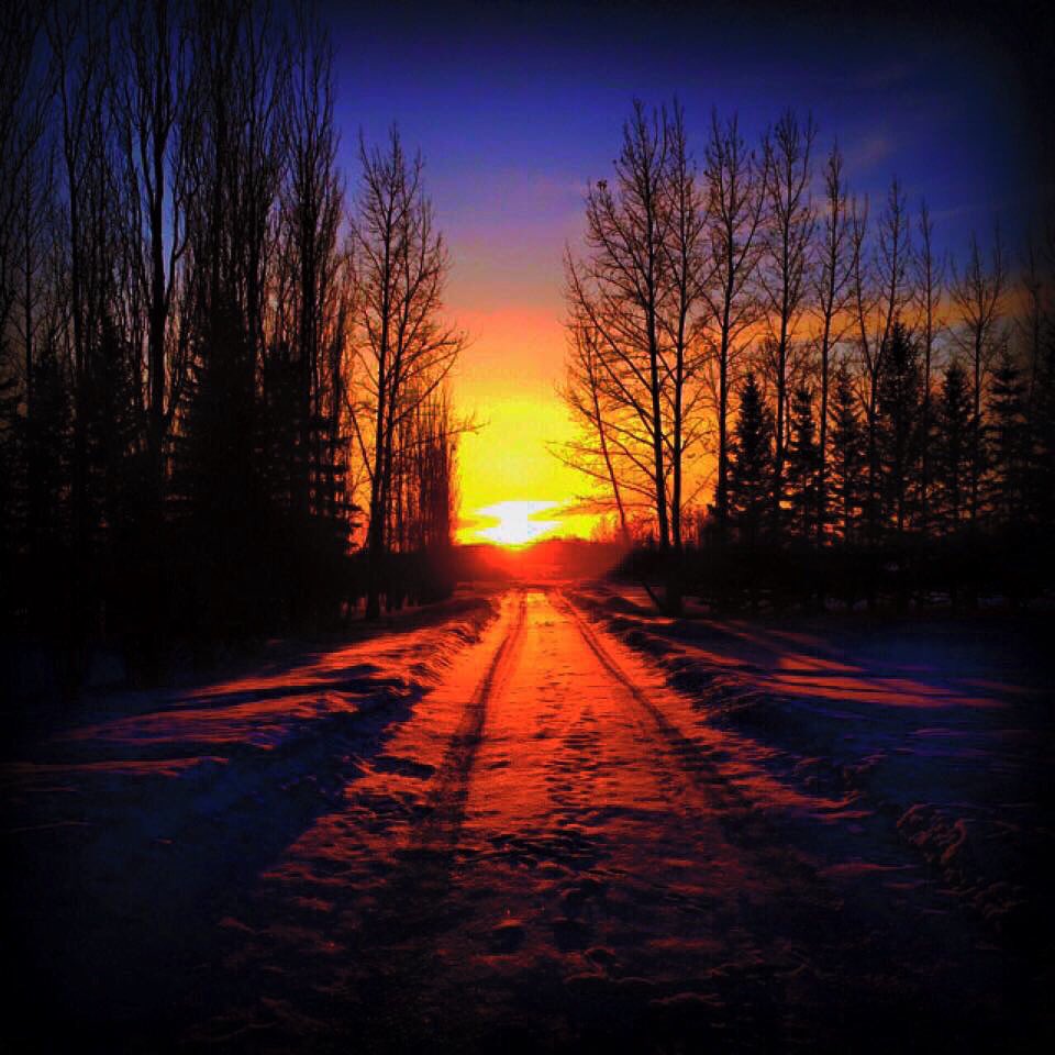 SeanSchofer's tweet image. Good old Saskatchewan sunset.