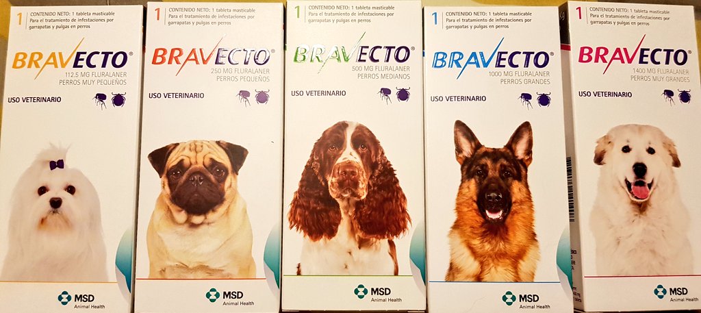 easypet_'s tweet photo. Todas las presentaciones de #Bravecto estan con 15% de descuento hasta fin de mes https://t.co/kjmWeSW61d https://t.co/dmABlI5ukR