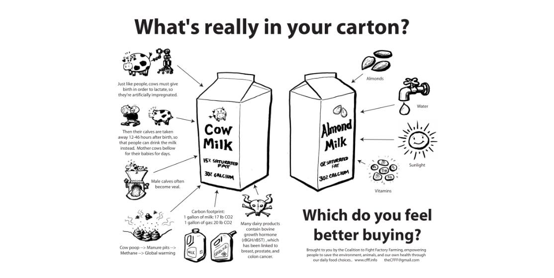 The reason I haven't drank cows milk in years. Yuck!
#thetruthaboutmilk #milk #KnowledgeIsPower #whatsinyourfood #Yuck