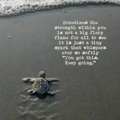 themindjackco's tweet photo. Mute the noise, dim the lights and look within . All you ever want or can be, has always been there. The trick is to just take a look. Rise above expectations and set backs. Remember, 'you got this'. #stayinspired #startaproject #themindjackcompany. https://t.co/wco2Xzd9J6