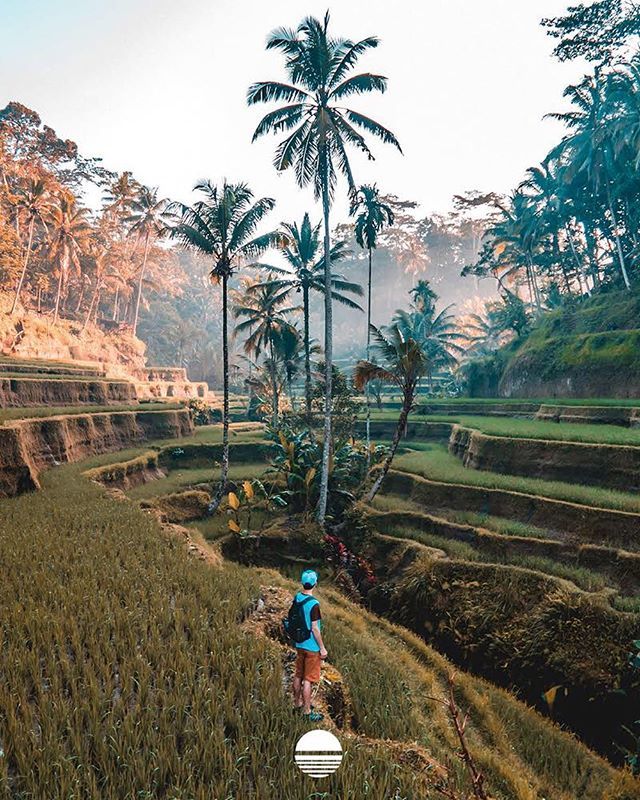 Day tripping in Bali! 🌴🌺 ift.tt/2BgYTWY