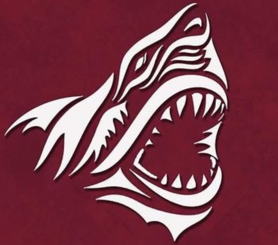 lfcmossy's tweet image. @Sutton_StH_CC  Hit 400 followers today 🖒 let's make it 500 before the start of the season in April 👊 local businesses we still have sponcorship opportunities available for the upcoming season 🖒 follow and DM for details 🖒  #suttoncc #suttonsharks #Cricket