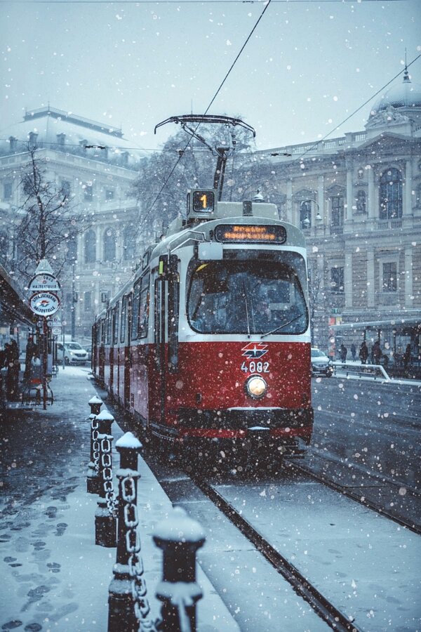 andrespeneke's tweet photo. Winter is back. by Julia Dávila-Lampe https://t.co/QP12ZhE0kC