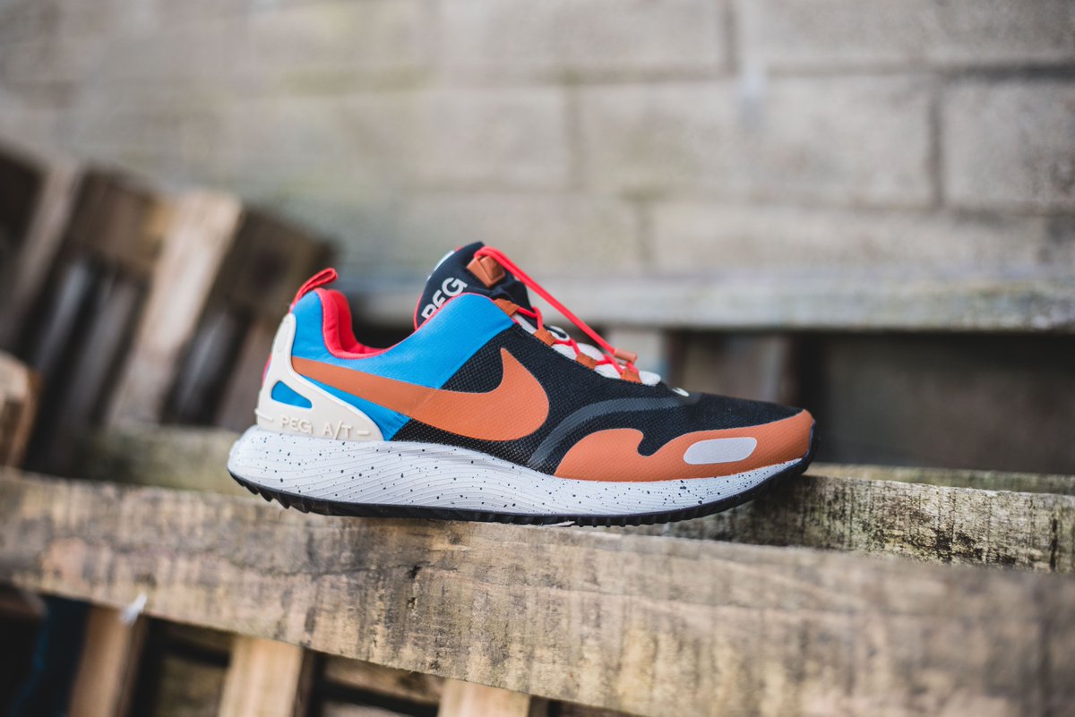 nike pegasus at winter qs