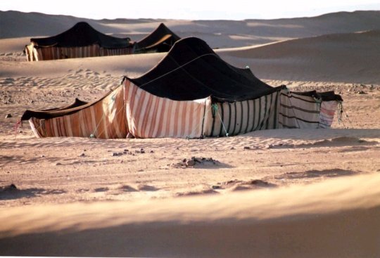 Ways to Choose the Best Tour Operators for Sahara Trips moroccotour.wordpress.com/2018/02/08/way…