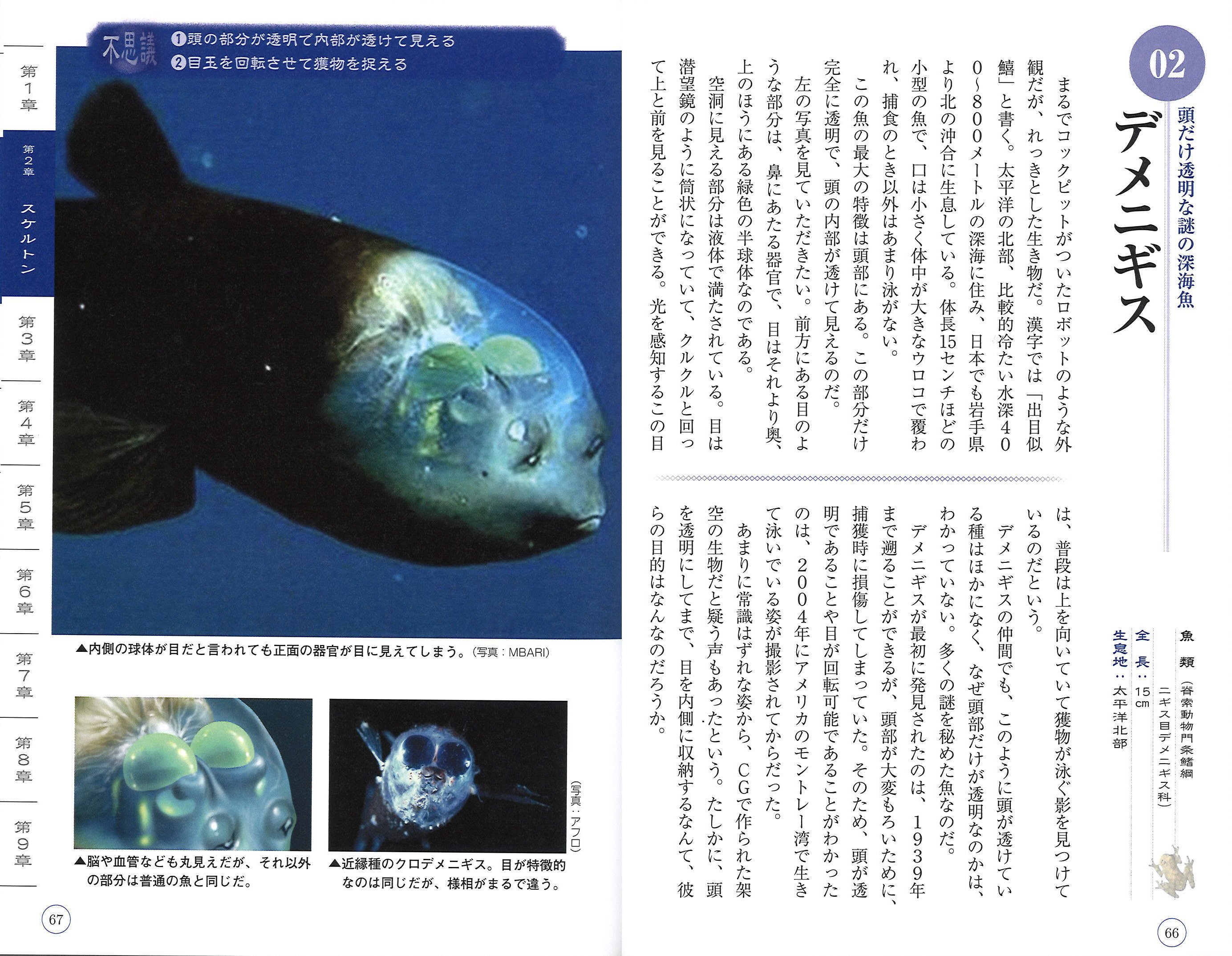 تويتر 学研プラス広報公式 على تويتر 今 奇妙 が面白い 不思議な 生物 大集合 地球上に数多く存在する スケルトン 不老長寿 擬態 発光 など 不思議 な生物の世界をあますところなく紹介 彼らの生態の秘密がわかります 奇妙で