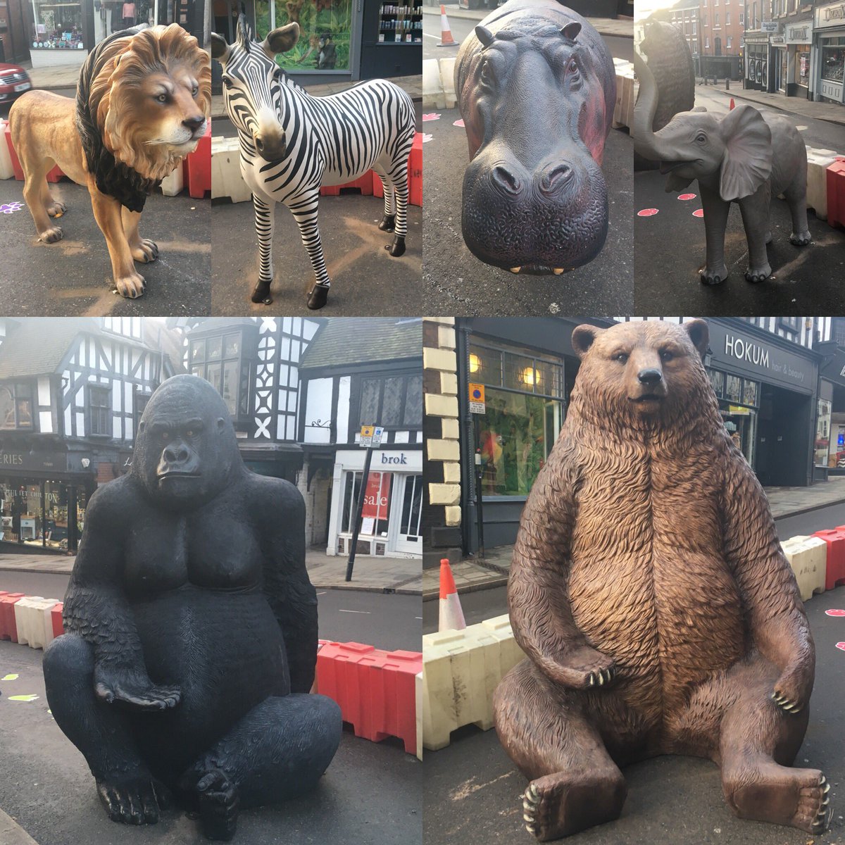 StephJJS's tweet image. This made the morning commute a little more interesting &amp;amp; put a smile on my face @OriginalShrews #wildcop