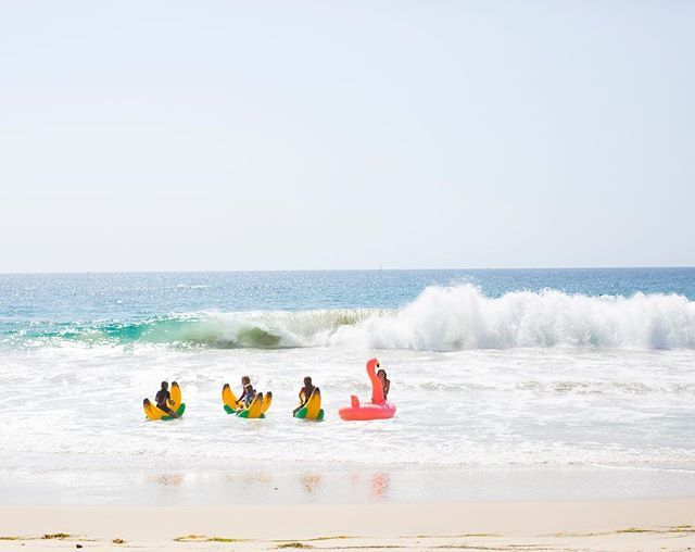 lerumphoto's tweet photo. I'm ready for another Tropicana Summer! 
#beach #photography #lagunabeach #tropicana https://t.co/ufXqhZYMCm