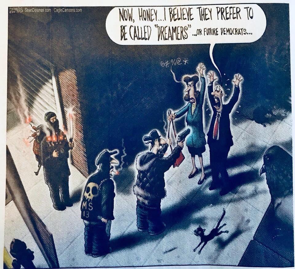 Albuquerque Journal racist cartoon