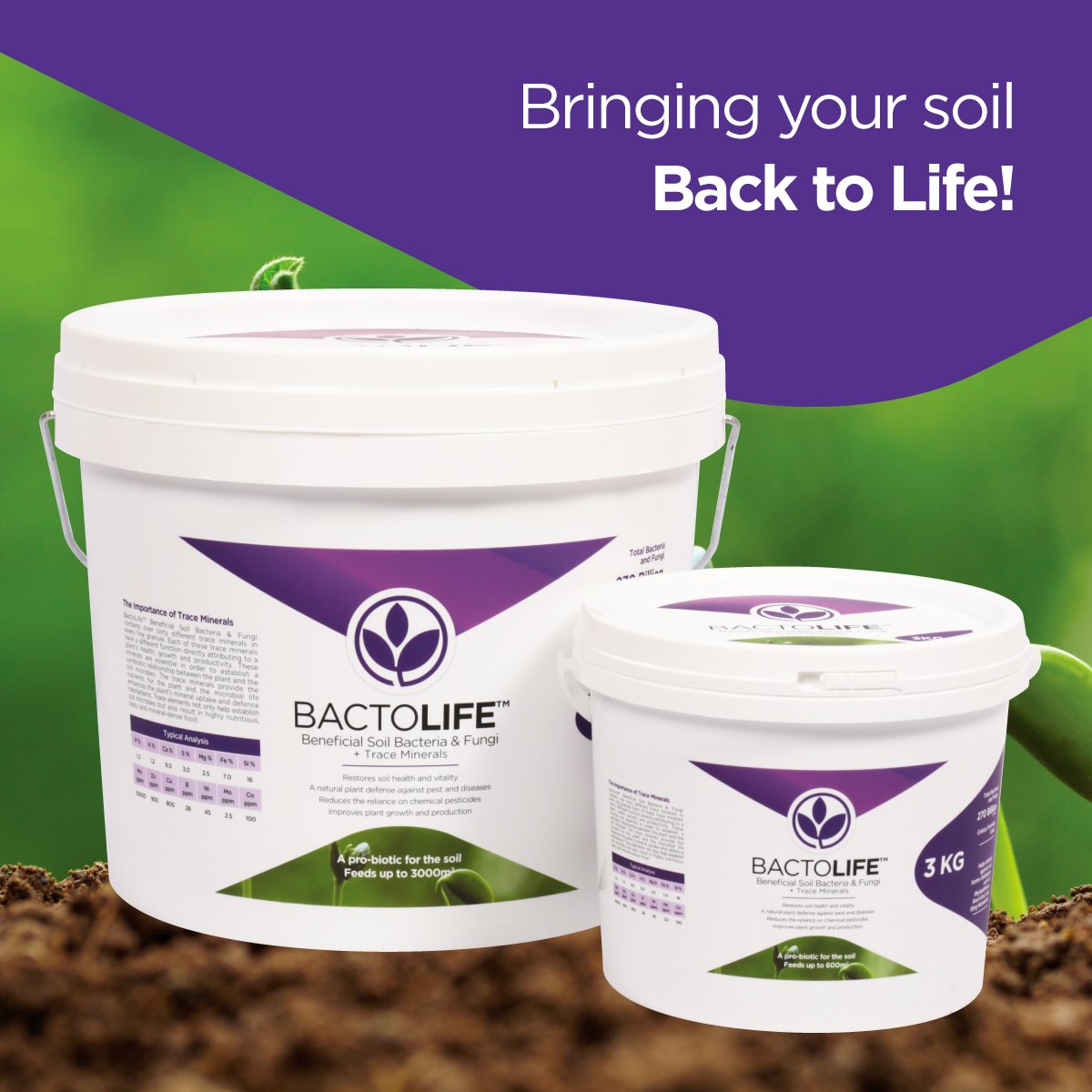 Strata_Green's tweet photo. NEW! BACTOLIFE
BactoLife™ Beneficial Soil Bacteria &amp; Fungi is a balanced  combination of cultured beneficial soil bacterial and fungal  micro-organisms that help mobilise minerals and other essential nutrients for... Learn More. https://t.co/RWPUnmVYvB https://t.co/tLM4iTjj0W