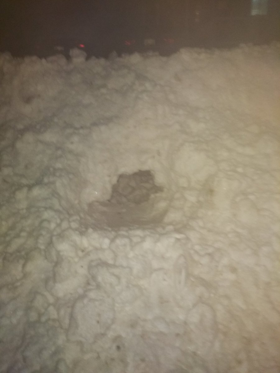 jy_zuo's tweet photo. To demonstrate the firmness of the pile, I managed to dig through the big mount of snow https://t.co/6RPJbV2az2