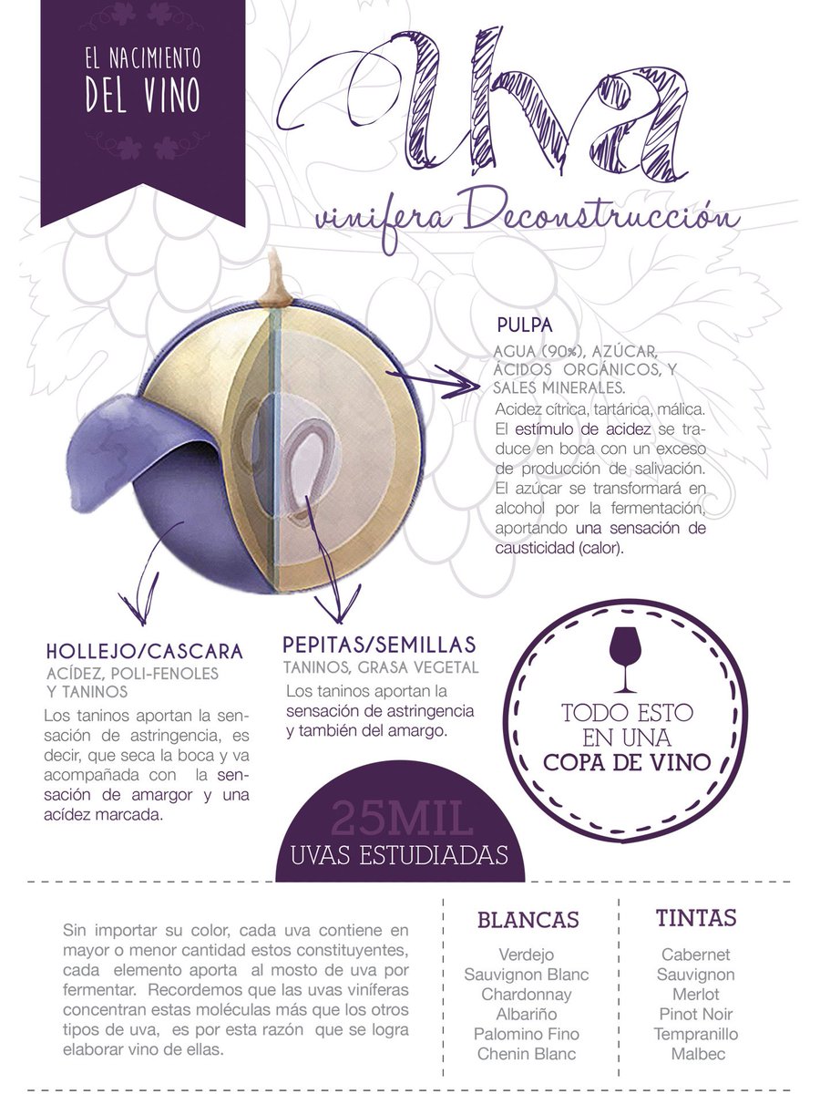 Interesante artículo en el que de forma muy bien resumida deconstruyen y analizan el componente principal del #vino: La #uva.