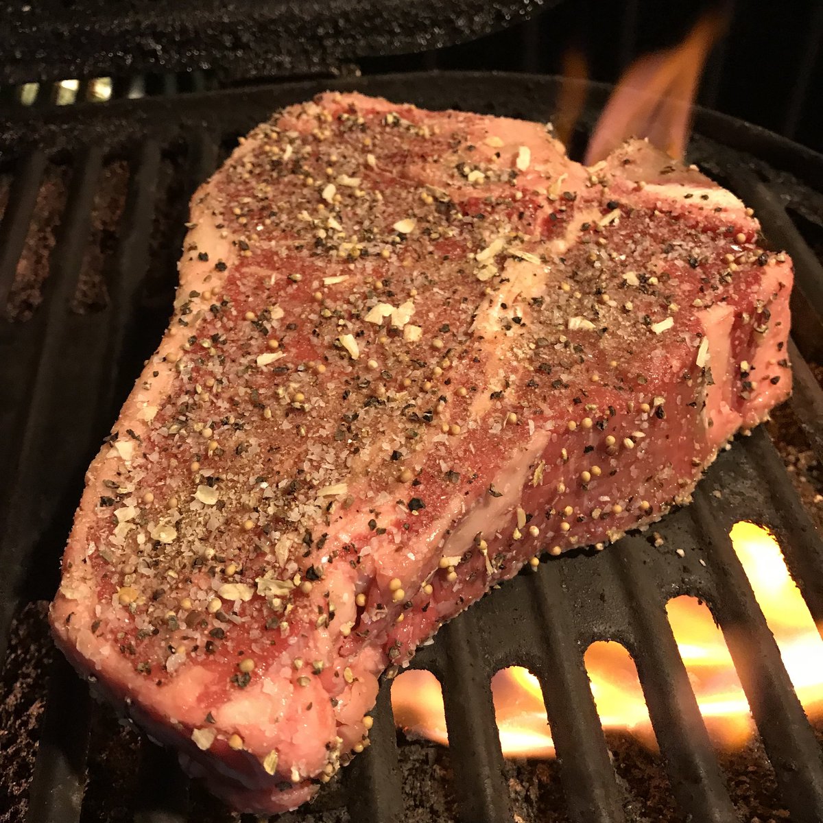 Grilling Gods tweet media