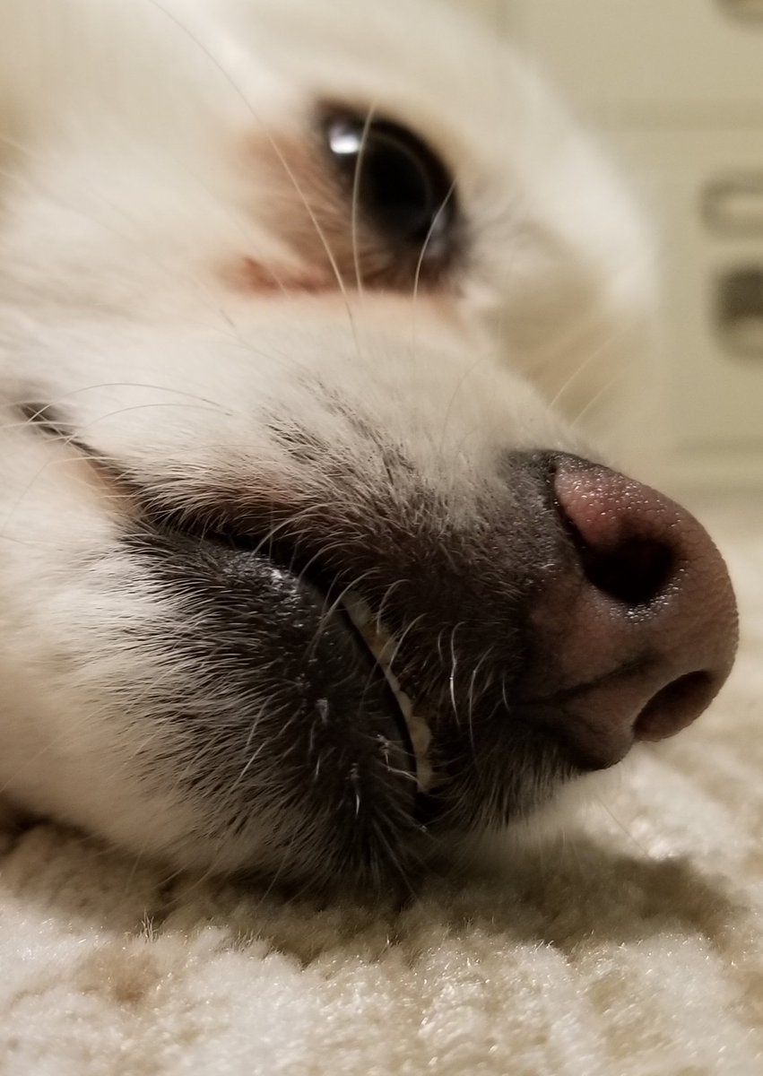 Thought I looked cute here. I dunno. Might delete