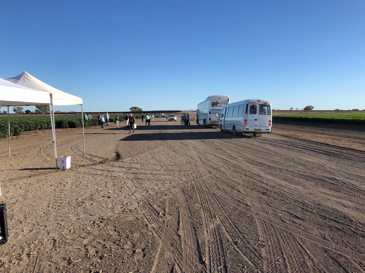 PaulK201712's tweet photo. The bus loads of people started rolling in for the @GwydirValley field day at Keytah, Moree https://t.co/sLaqLm76OL