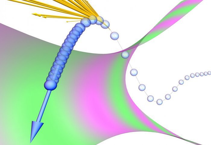 pdf micropropagation technology