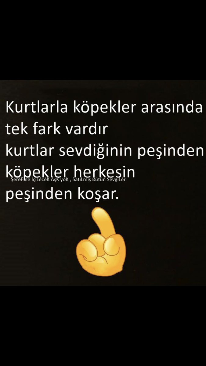 sinan kaplan (@sinanka76977651) on Twitter photo 