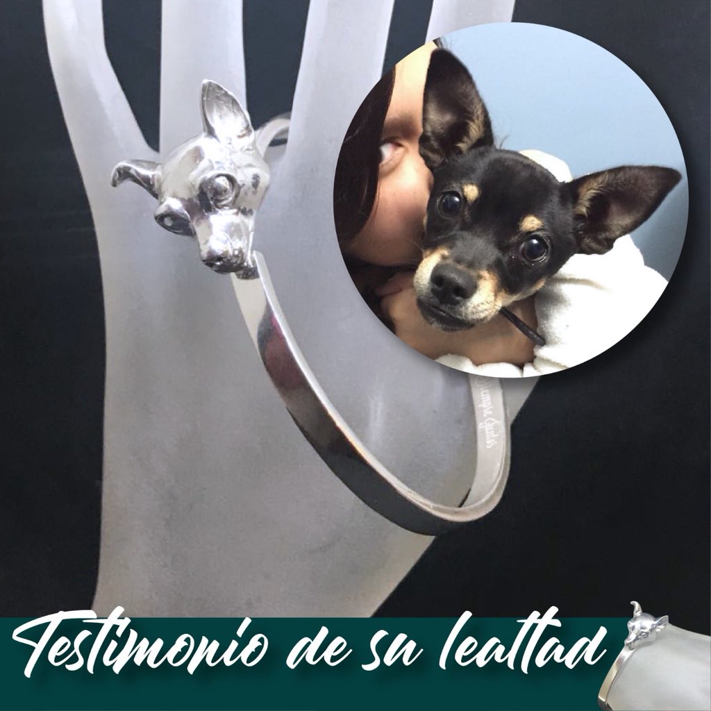 irenepmodelos's tweet image. Irene Ponce Design conoce el amor por nuestras mascotas, lanzamos la colección 2018; no es un lujo, es el testimonio a su lealtad.
Manda x inbox la foto de tu mascota y la reproducimos en la pieza que desees. 
Aquí está Sam, hermosa mascota eternizada en un brazalete #ipdesign