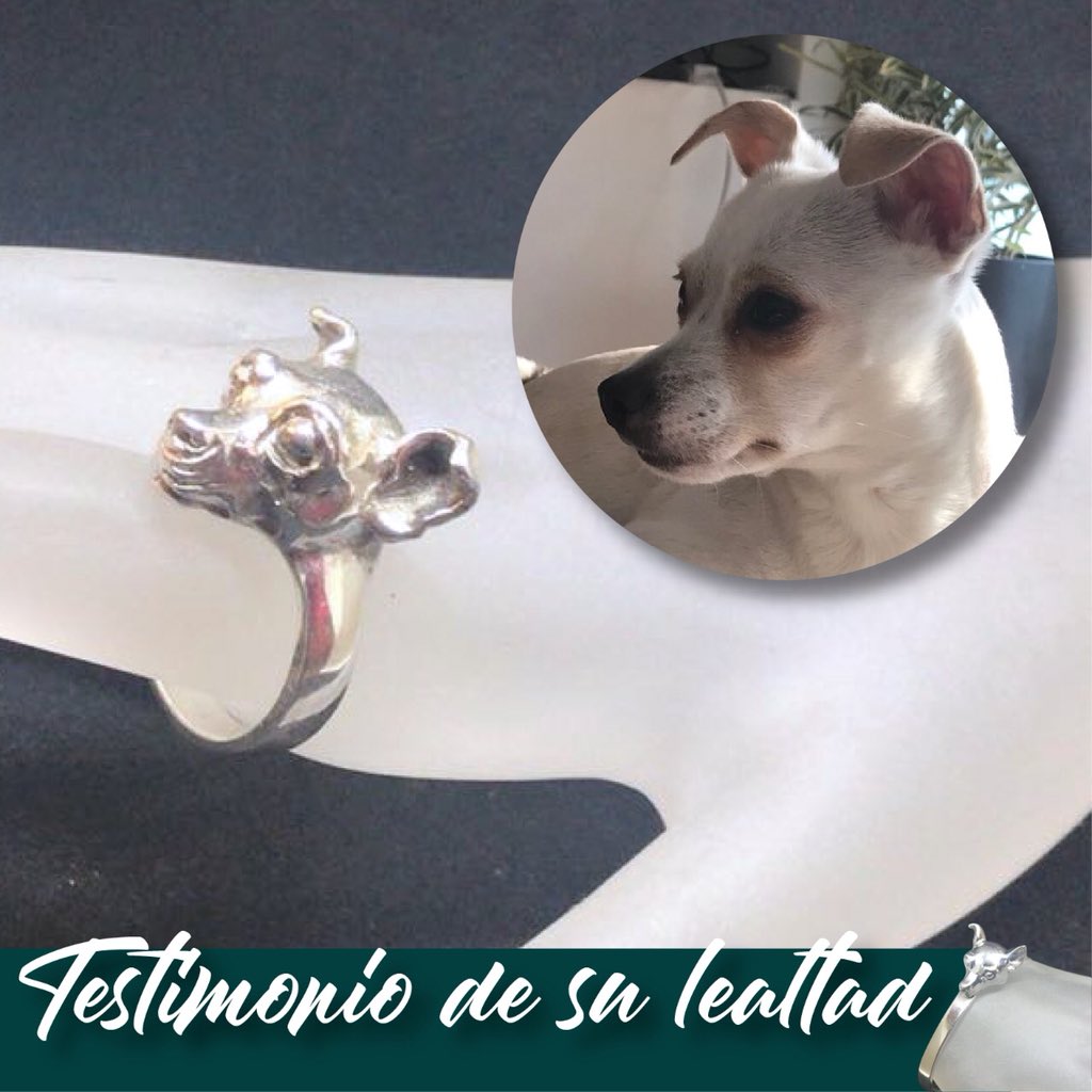 irenepmodelos's tweet image. Irene Ponce Design conocemos el amor por nuestras mascotas lanzamos la colección 2018, no es un lujo, es el testimonio a su lealtad.
Manda x inbox la foto de tu mascota y la reproducimos en la pieza que desees. 
La preciosa Camille me acompañará en este divertido anillo #ipdesign