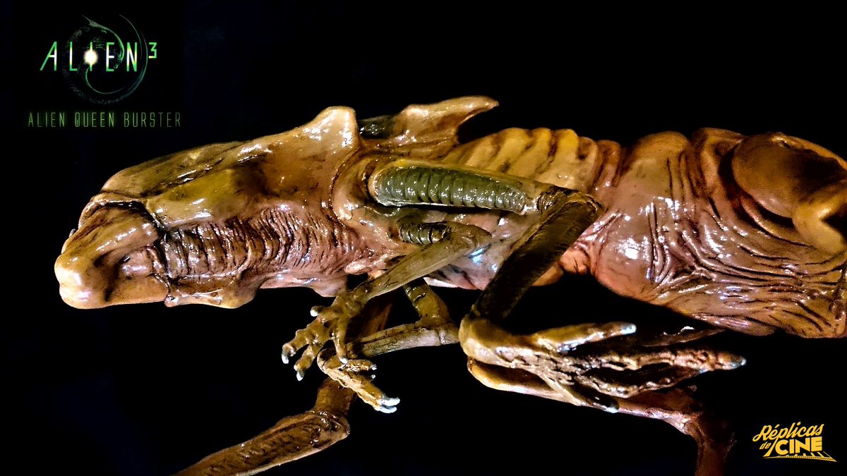 ReplicasdeCine's tweet photo. Buenos días mundo!!! Os dejamos con una de nuestras pequeñas criaturas. Alien Queen Burster a escala real, de nuestra colección de Aliens Baby Killers. #Alien #Replicasdecine #Movieprops #Propsreplicas #Props #alienqueen https://t.co/4juRmDMc2l