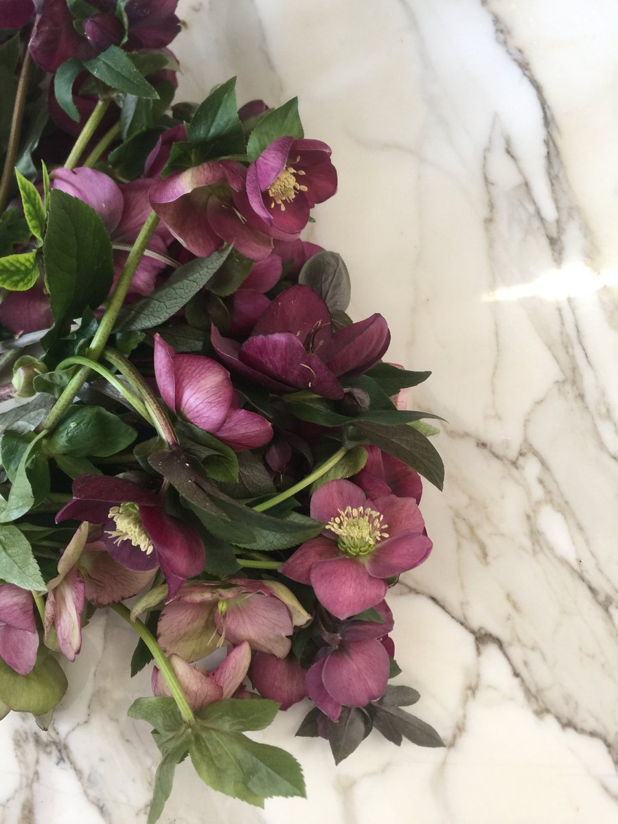 thebowsarrows's tweet photo. Our favorite winter flower, ranunculus! https://t.co/bNAVXDcE8B