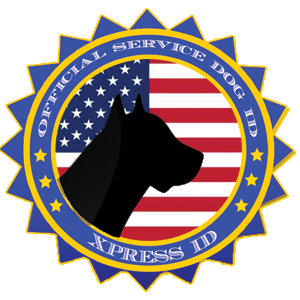 usservice1's tweet photo. Now you can fill up the form to #registrer our #Animal service.

Fill up - https://t.co/hieASdWdor https://t.co/XaUsWAtGDA