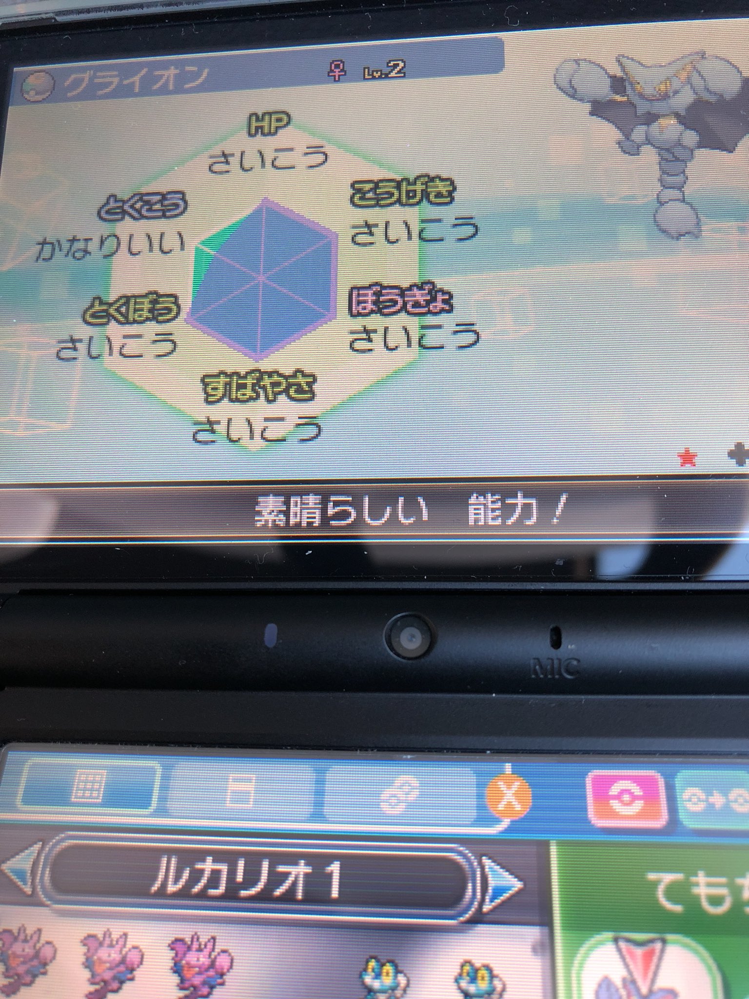 まめさん W 統合失調症 海外産6vメタモン配布中 ポケモン配布しますm M 今回は色違い夢特性理想個体 グライオンを一名様にプレゼントです おまけで毒毒玉つけます 参加方法はフォロー Amp リツイートです 明日2月9日金曜日夜21 00締め切り