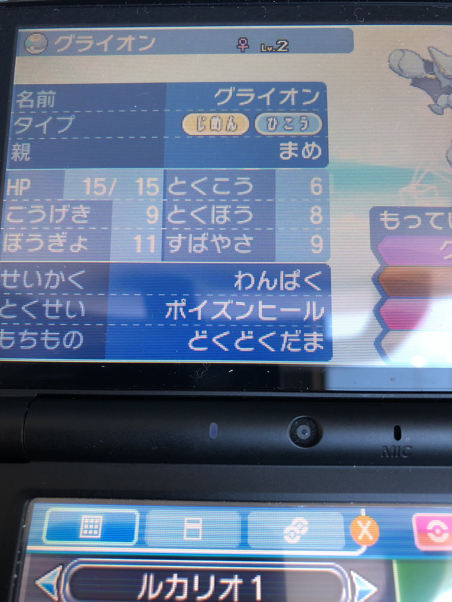 まめさん ポケモン配布しますm M 今回は色違い夢特性理想個体グライオンを一名様にプレゼントです おまけで毒毒玉つけます 参加方法はフォロー リツイートです 明日2月9日金曜日夜21 00締め切りです ポケモン配布 ウルトラサンムーン 色違い