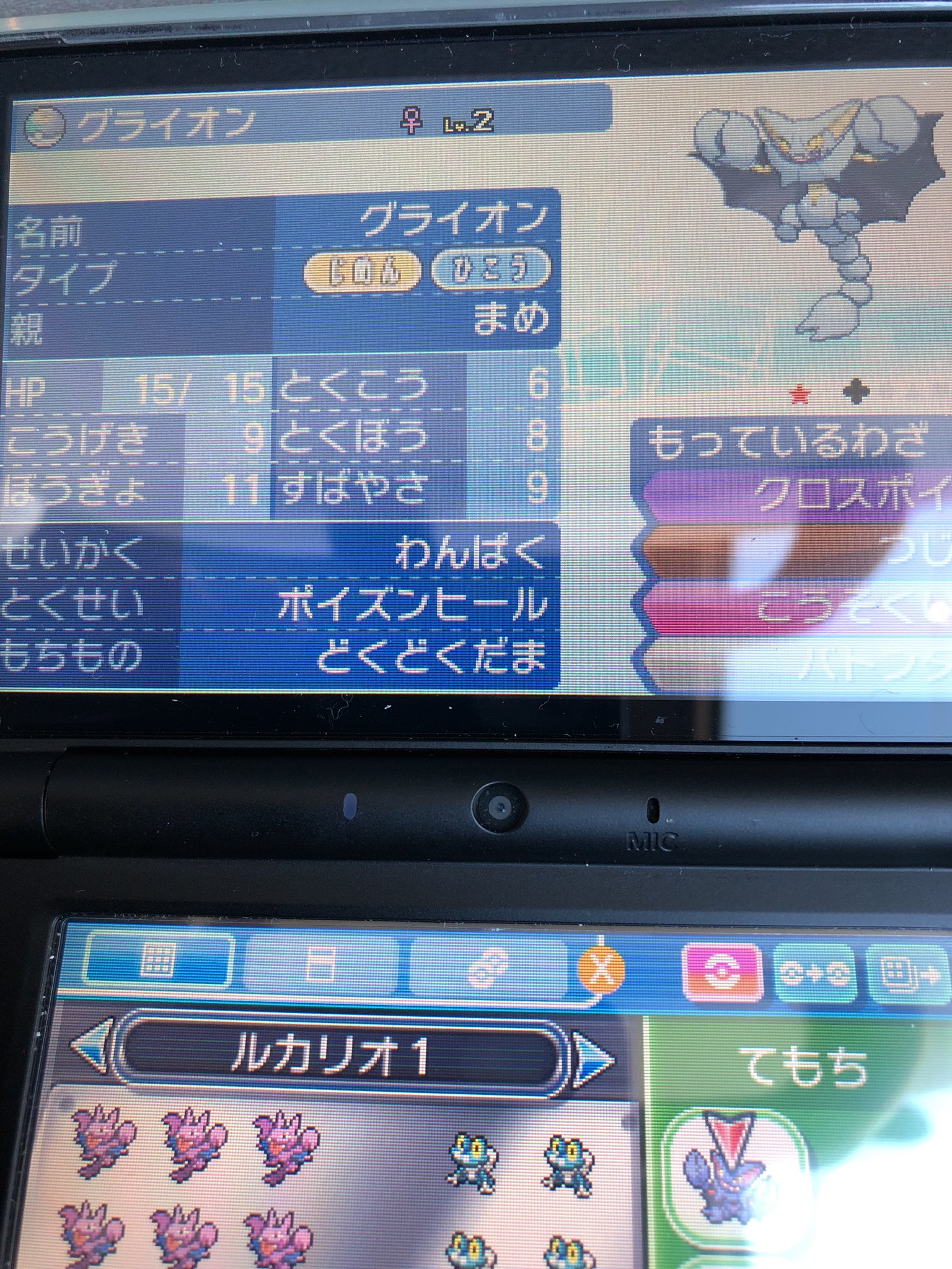 まめさん W ポケモン配布しますm M 今回は色違い夢特性理想個体グライオンを一名様にプレゼントです おまけで毒毒玉つけます 参加方法はフォロー リツイートです 明日2月9日金曜日夜21 00締め切りです ポケモン配布 ウルトラ