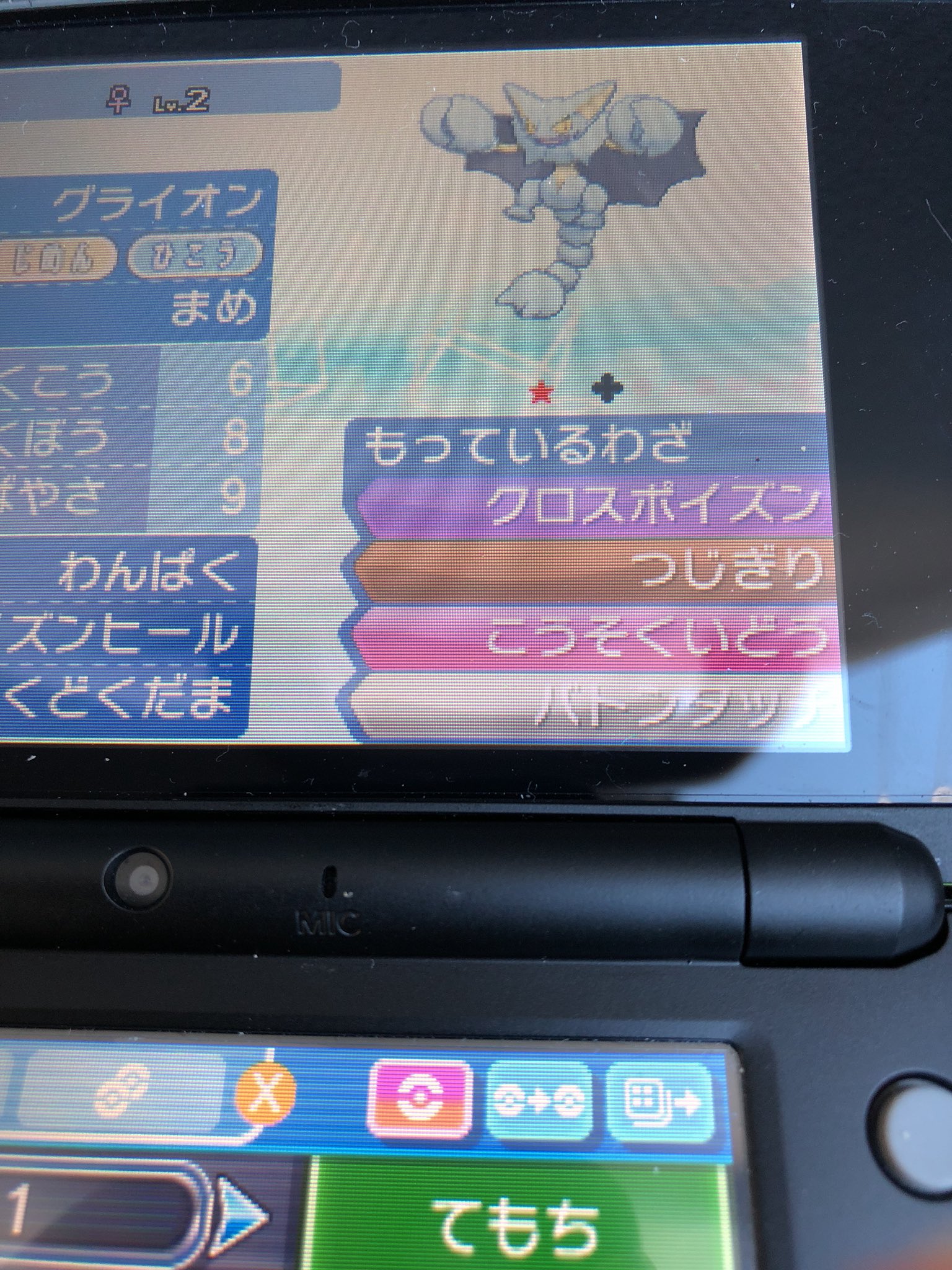まめさん W 統合失調症 海外産6vメタモン配布中 ポケモン配布しますm M 今回は色違い夢特性理想個体 グライオンを一名様にプレゼントです おまけで毒毒玉つけます 参加方法はフォロー Amp リツイートです 明日2月9日金曜日夜21 00締め切り